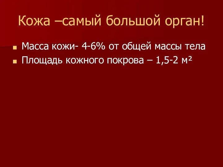 Кожа –самый большой орган! Масса кожи- 4-6% от общей массы тела