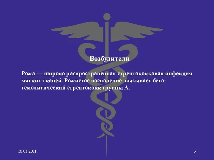 Возбудители Рожа — широко распространенная стрептококковая инфекция мягких тканей. Рожистое воспаление