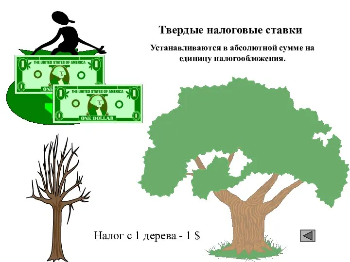 Твердые налоговые ставки Налог с 1 дерева - 1 $ Устанавливаются