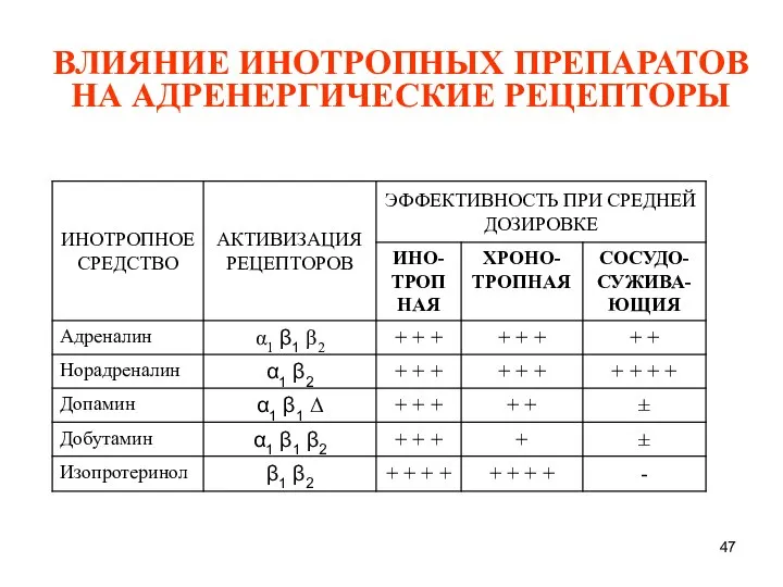 ВЛИЯНИЕ ИНОТРОПНЫХ ПРЕПАРАТОВ НА АДРЕНЕРГИЧЕСКИЕ РЕЦЕПТОРЫ