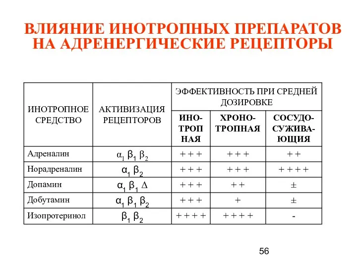 ВЛИЯНИЕ ИНОТРОПНЫХ ПРЕПАРАТОВ НА АДРЕНЕРГИЧЕСКИЕ РЕЦЕПТОРЫ