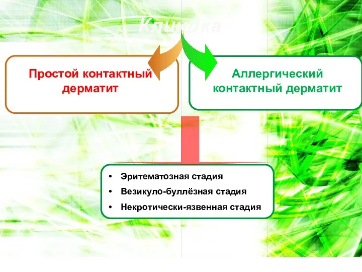 Клиника Простой контактный дерматит Аллергический контактный дерматит Эритематозная стадия Везикуло-буллёзная стадия Некротически-язвенная стадия