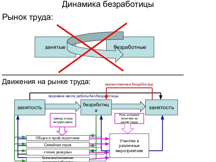 Динамика безработицы Рынок труда: __________________________________ Движения на рынке труда: занятые безработные