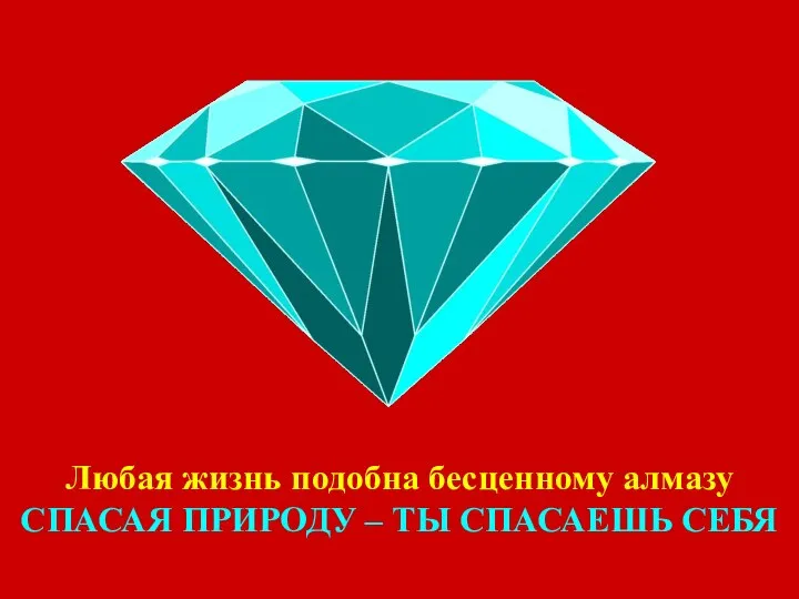 Любая жизнь подобна бесценному алмазу СПАСАЯ ПРИРОДУ – ТЫ СПАСАЕШЬ СЕБЯ