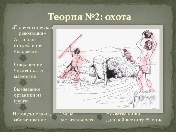 Теория №2: охота Активное истребление человеком Сокращение численности мамонтов Вымывание органики