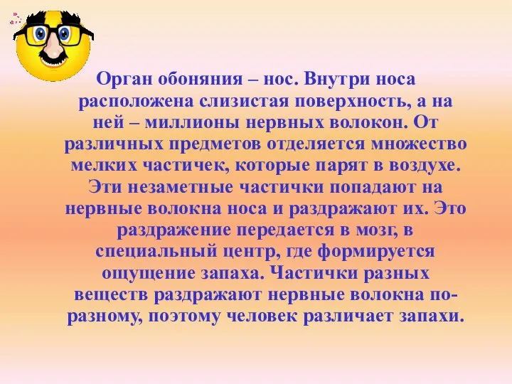 Орган обоняния – нос. Внутри носа расположена слизистая поверхность, а на