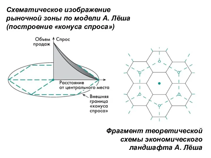 Схематическое изображение рыночной зоны по модели А. Лёша (построение «конуса спроса»)