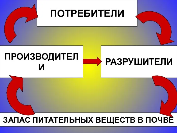 ПРОИЗВОДИТЕЛИ ПОТРЕБИТЕЛИ РАЗРУШИТЕЛИ ЗАПАС ПИТАТЕЛЬНЫХ ВЕЩЕСТВ В ПОЧВЕ