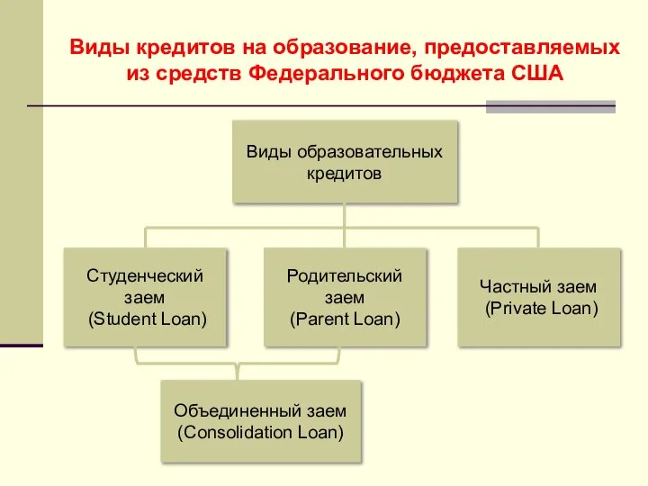 Виды кредитов на образование, предоставляемых из средств Федерального бюджета США Виды