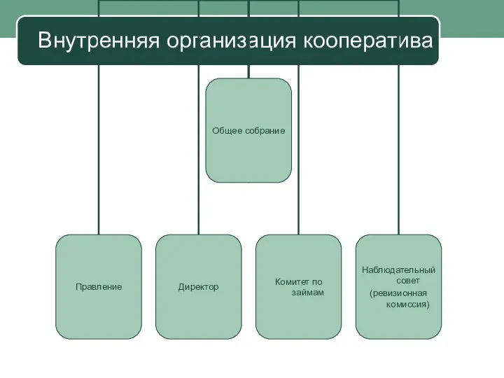 Внутренняя организация кооператива