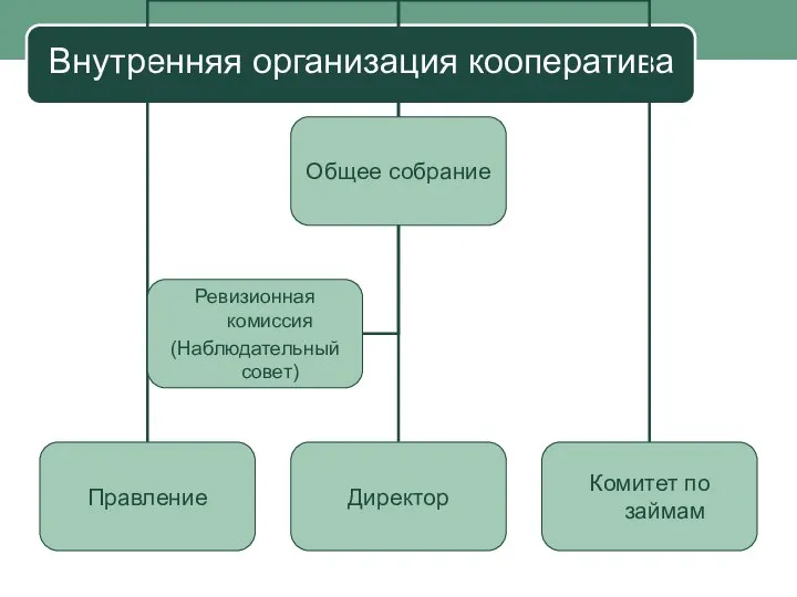 Внутренняя организация кооператива