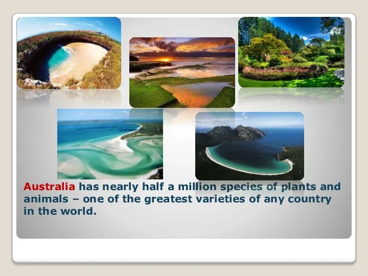 Australia has nearly half a million species of plants and animals