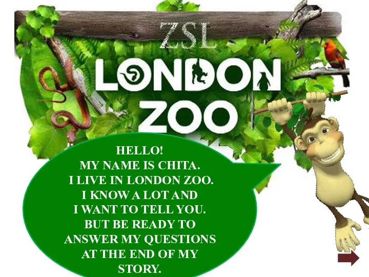 HELLO! MY NAME IS CHITA. I LIVE IN LONDON ZOO. I