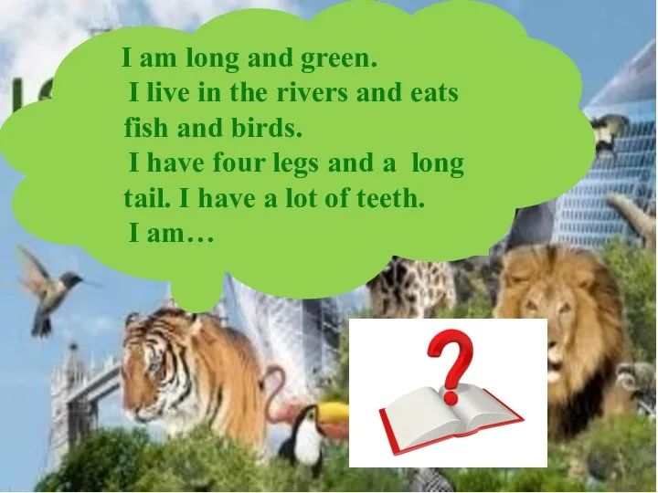 I am long and green. I live in the rivers and