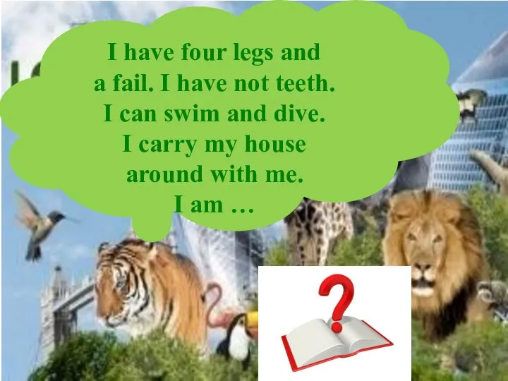 I have four legs and a fail. I have not teeth.