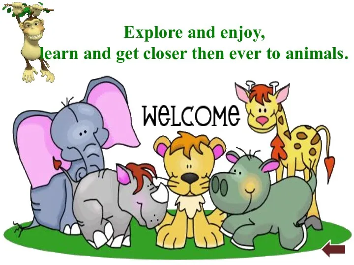Explore and enjoy, learn and get closer then ever to animals.