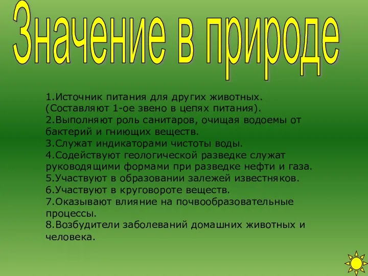 1.Источник питания для других животных. (Составляют 1-ое звено в цепях питания).