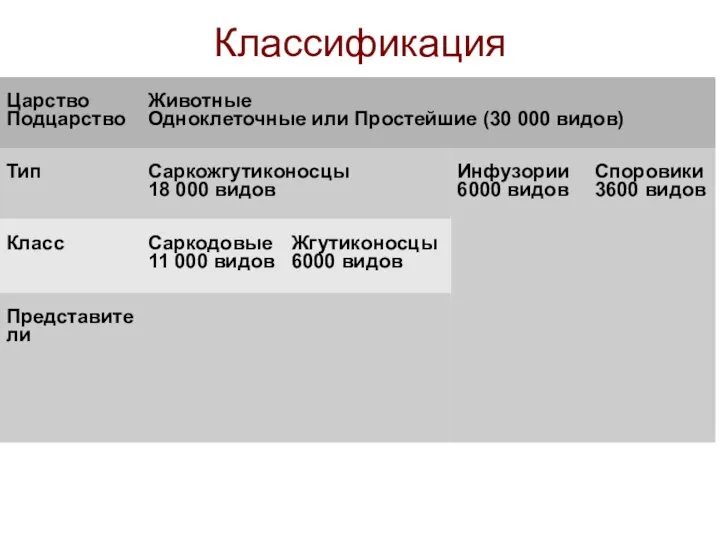 Классификация