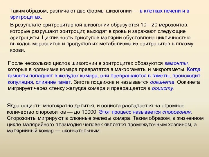 После нескольких циклов шизогонии в эритроцитах образуются гамонты, которые в организме