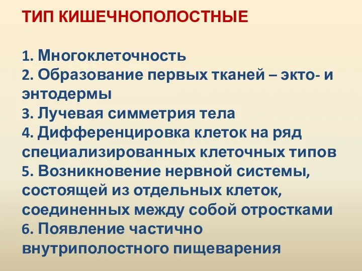 ТИП КИШЕЧНОПОЛОСТНЫЕ 1. Многоклеточность 2. Образование первых тканей – экто- и