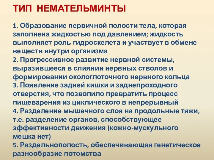 ТИП НЕМАТЕЛЬМИНТЫ 1. Образование первичной полости тела, которая заполнена жидкостью под