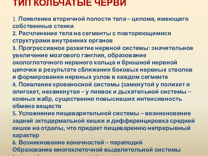 ТИП КОЛЬЧАТЫЕ ЧЕРВИ 1. Появление вторичной полости тела – целома, имеющего