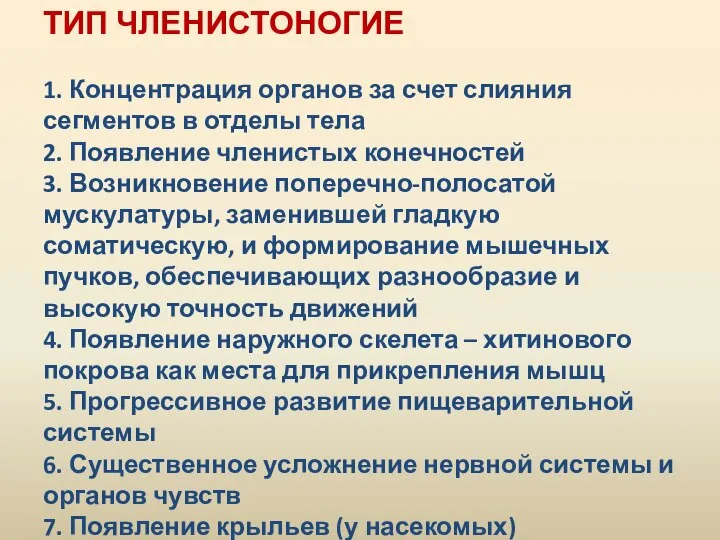 ТИП ЧЛЕНИСТОНОГИЕ 1. Концентрация органов за счет слияния сегментов в отделы