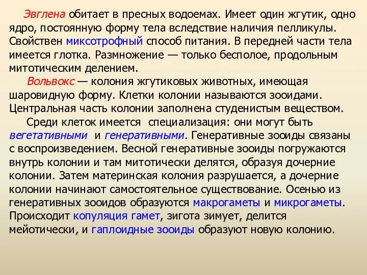 Эвглена обитает в пресных водоемах. Имеет один жгутик, одно ядро, постоянную