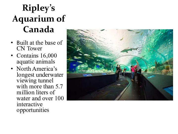 Ripley’s Aquarium of Canada Built at the base of CN Tower