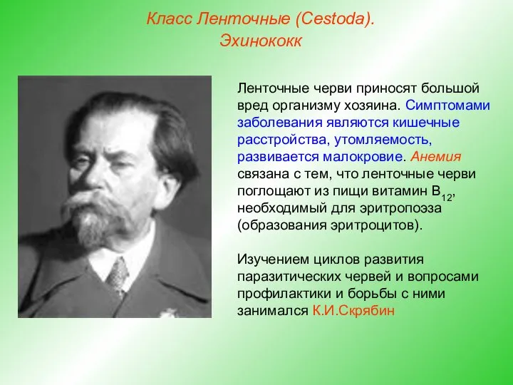 Класс Ленточные (Cestoda). Эхинококк Ленточные черви приносят большой вред организму хозяина.