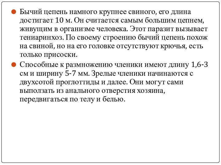 Бычий цепень намного крупнее свиного, его длина достигает 10 м. Он