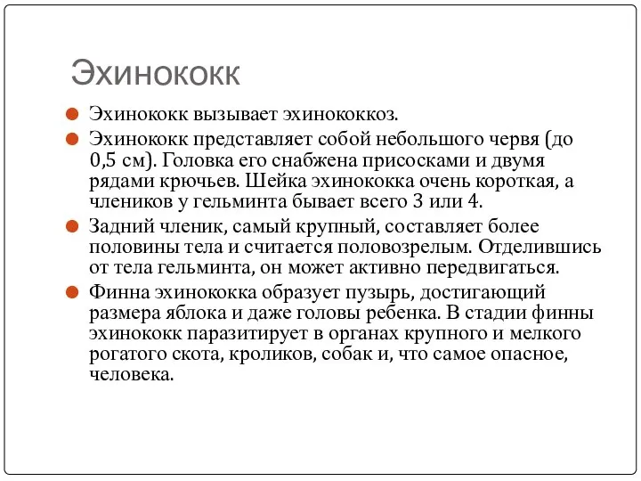 Эхинококк Эхинококк вызывает эхинококкоз. Эхинококк представляет собой небольшого червя (до 0,5