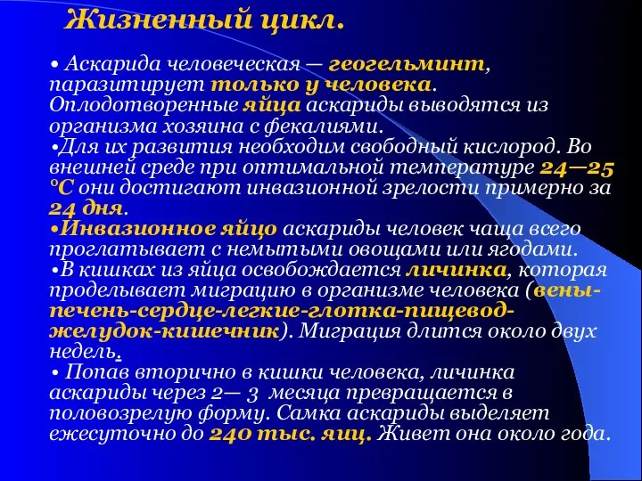 Жизненный цикл. Аскарида человеческая — геогельминт, паразитирует только у человека. Оплодотворенные