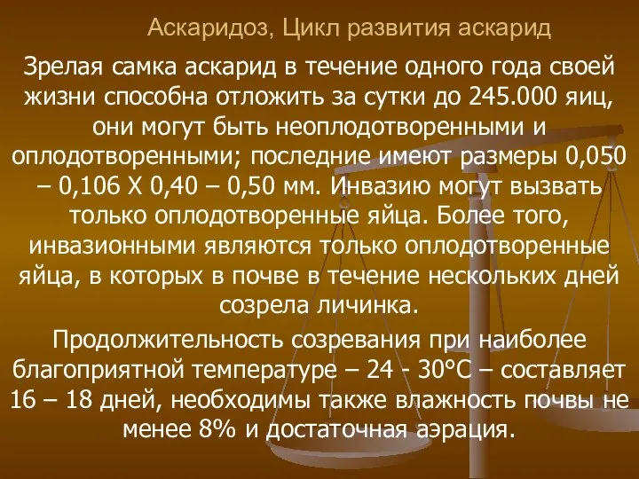 Аскаридоз, Цикл развития аскарид Зрелая самка аскарид в течение одного года