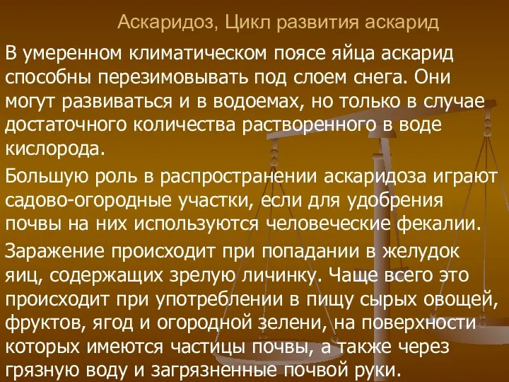 Аскаридоз, Цикл развития аскарид В умеренном климатическом поясе яйца аскарид способны