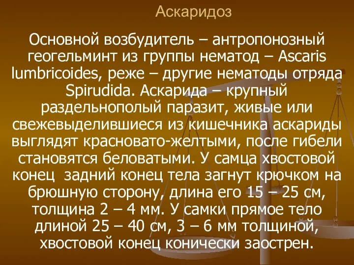 Аскаридоз Основной возбудитель – антропонозный геогельминт из группы нематод – Ascaris