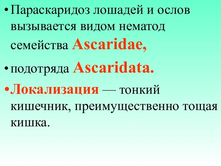 Параскаридоз лошадей и ослов вызывается видом нематод семейства Ascaridae, подотряда Ascaridata.