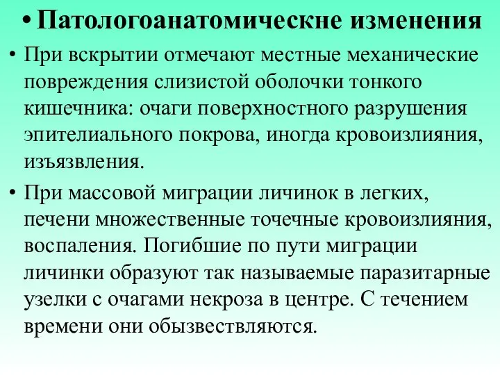 Патологоанатомическне изменения При вскрытии отмечают местные механические повреждения слизистой оболочки тонкого