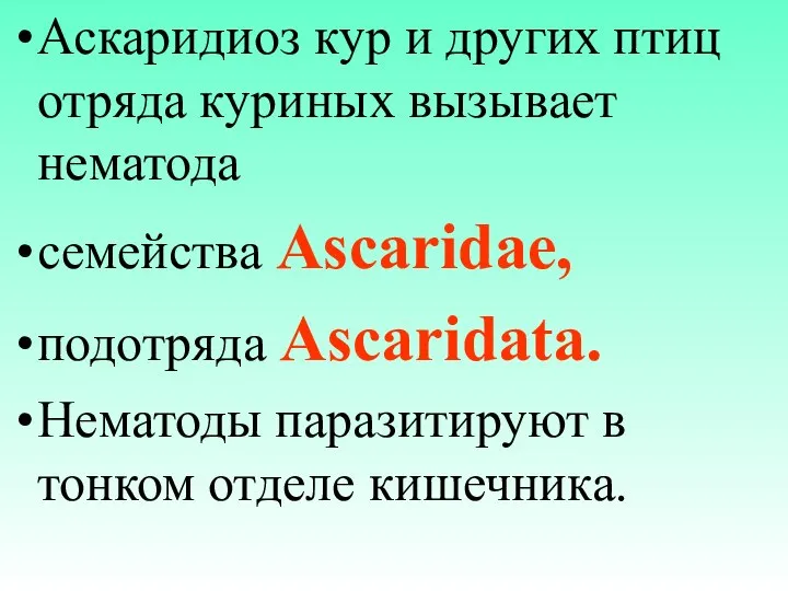 Аскаридиоз кур и других птиц отряда куриных вызывает нематода семейства Ascaridae,