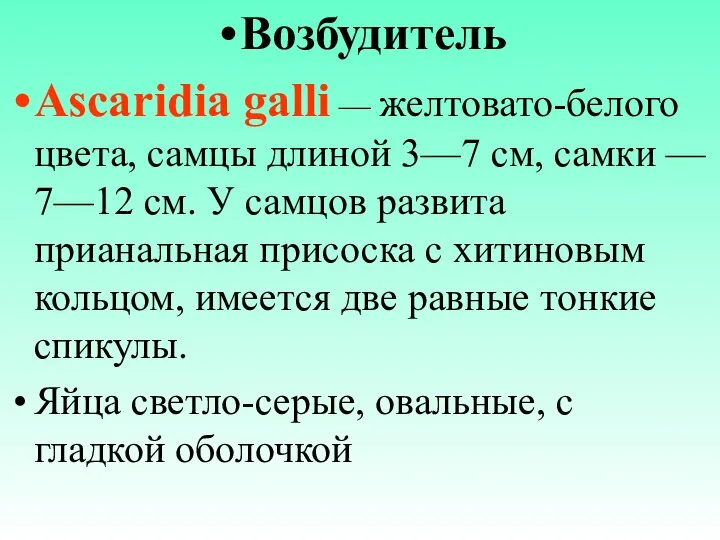 Возбудитель Ascaridia galli — желтовато-белого цвета, самцы длиной 3—7 см, самки