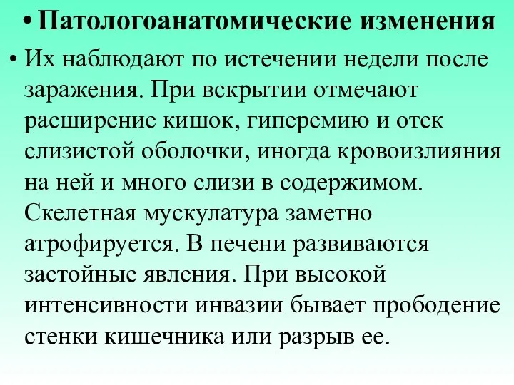 Патологоанатомические изменения Их наблюдают по истечении недели после заражения. При вскрытии