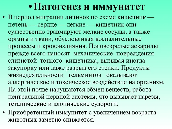 Патогенез и иммунитет В период миграции личинок по схеме кишечник —