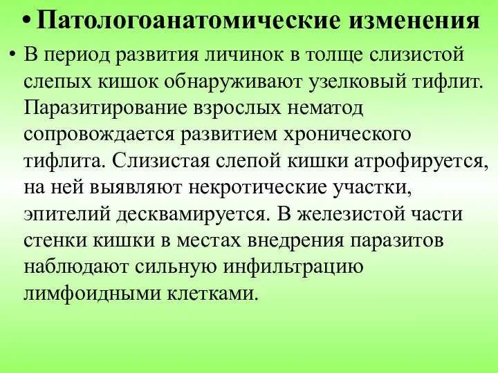 Патологоанатомические изменения В период развития личинок в толще слизистой слепых кишок