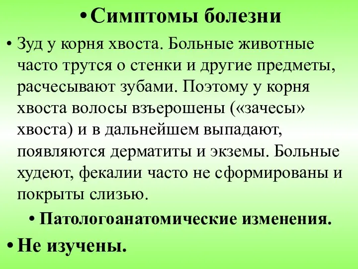 Симптомы болезни Зуд у корня хвоста. Больные животные часто трутся о