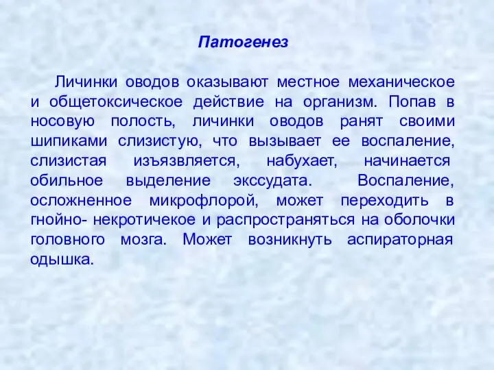 Патогенез Личинки оводов оказывают местное механическое и общетоксическое действие на организм.