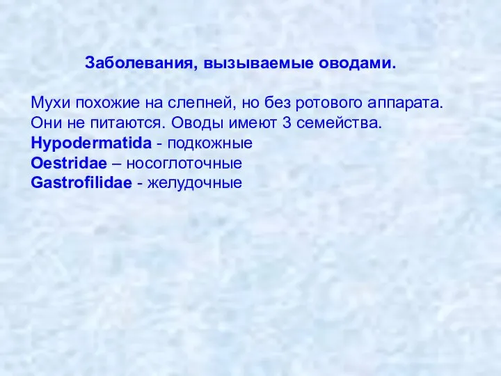 Заболевания, вызываемые оводами. Мухи похожие на слепней, но без ротового аппарата.Они