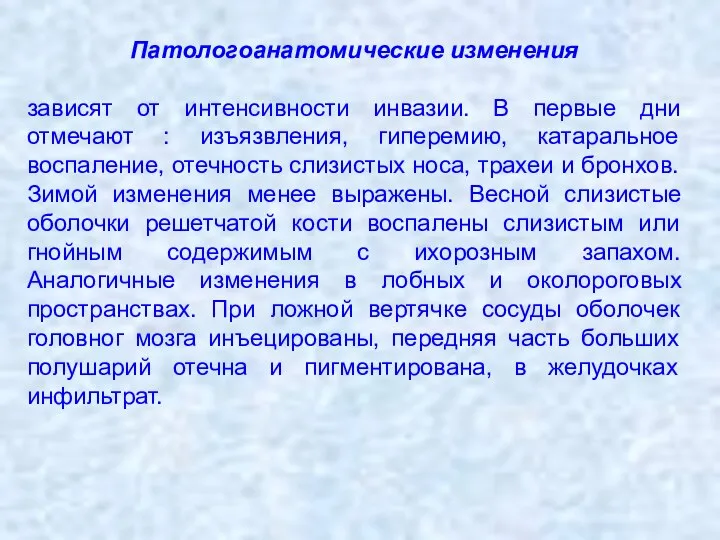 Патологоанатомические изменения зависят от интенсивности инвазии. В первые дни отмечают :