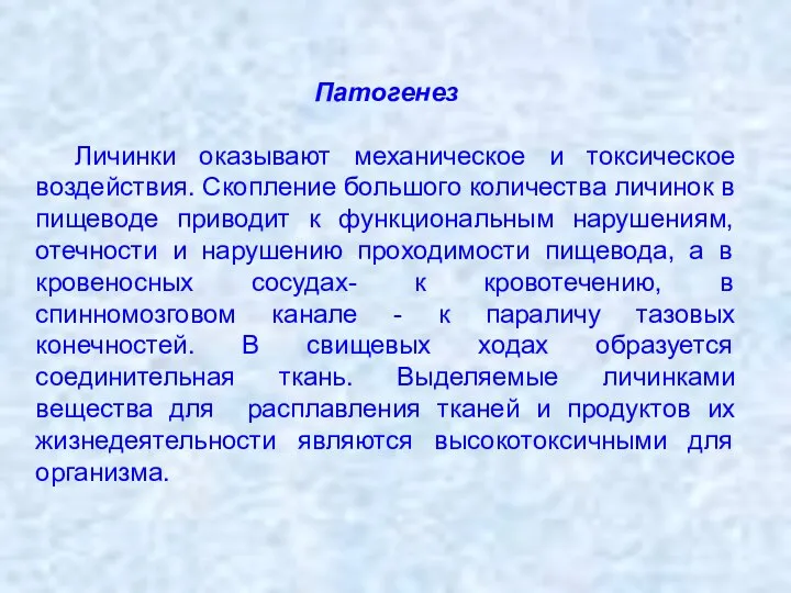 Патогенез Личинки оказывают механическое и токсическое воздействия. Скопление большого количества личинок