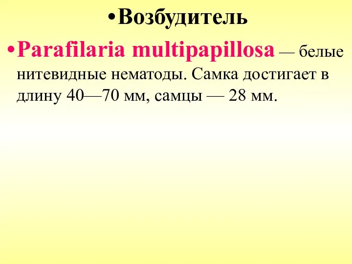 Возбудитель Parafilaria multipapillosa — белые нитевидные нематоды. Самка достигает в длину