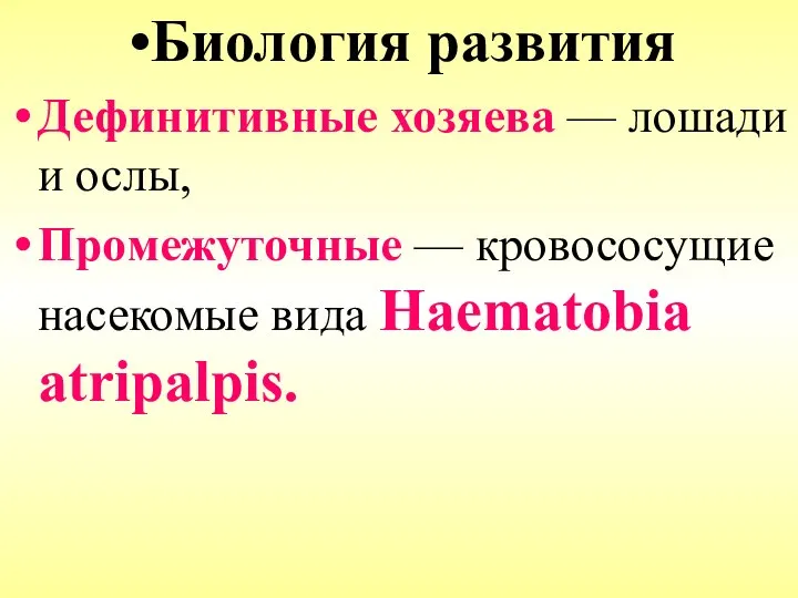 Биология развития Дефинитивные хозяева — лошади и ослы, Промежуточные — кровососущие насекомые вида Haematobia atripalpis.